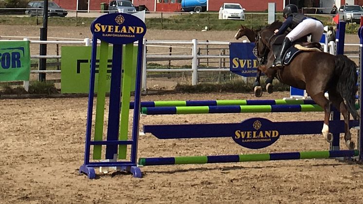 I helgen gör ponnyryttare i zon öst upp om segern i regionfinalen i Sveland cup, denna gång i Växjö. 
