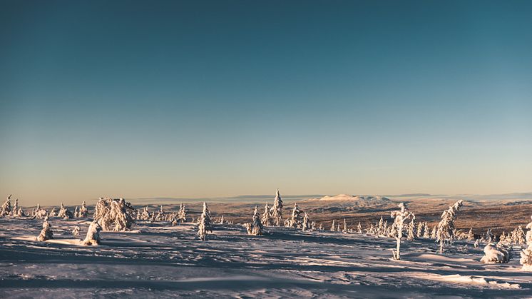 Sälen snö januari 2021