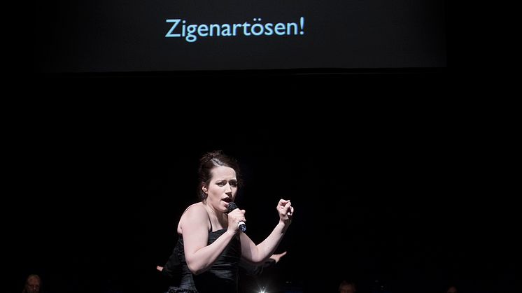 Opera Showroom 2013