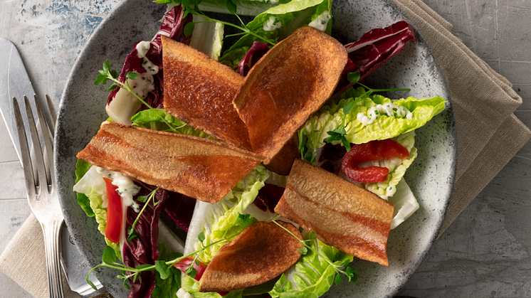 15453_Veggiebacon