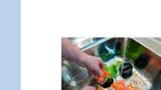 SVU-rapport 2012-08: Matavfallskvarnar – Långtidseffekter på ledningsnät