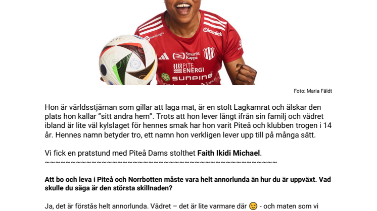 Intervju med Faiht Ikidi Michael.pdf