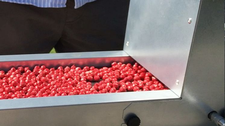 Berrybooster.jpg