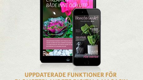 Blomsterlandets digitala magasin - nu även för mobil!