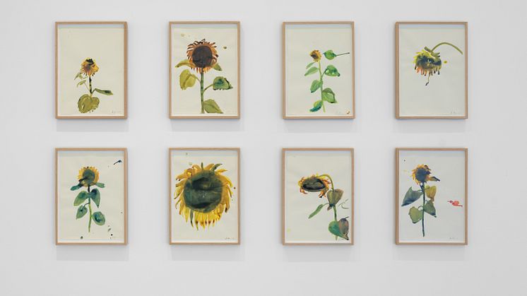 Installation view, I Follow the Sun. Artist: Anna Bjerger. Photo Jean-Baptiste Béranger