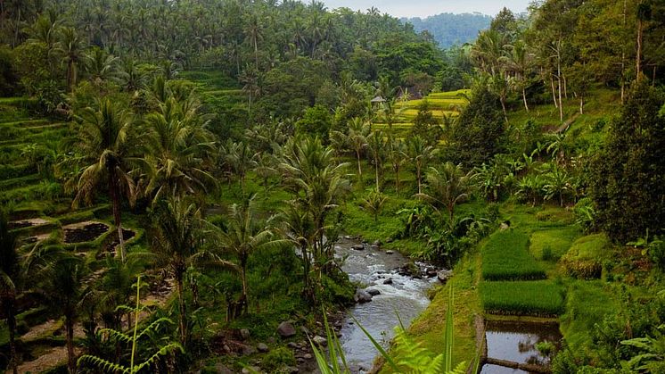 Landscapes-to-Explore.jpg