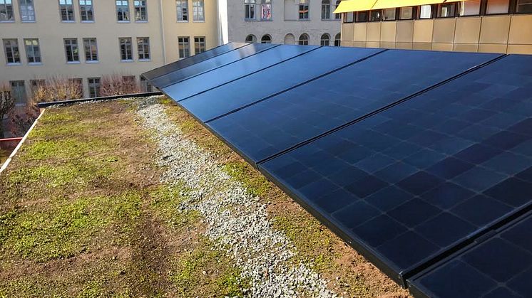 Urbangreens Sedumtak finns på plats.