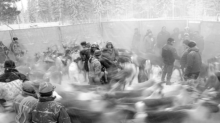 Kärnan, ur serien I eldens skugga, vid fjällens fot, 2019–2024   © Nathalie Bilan