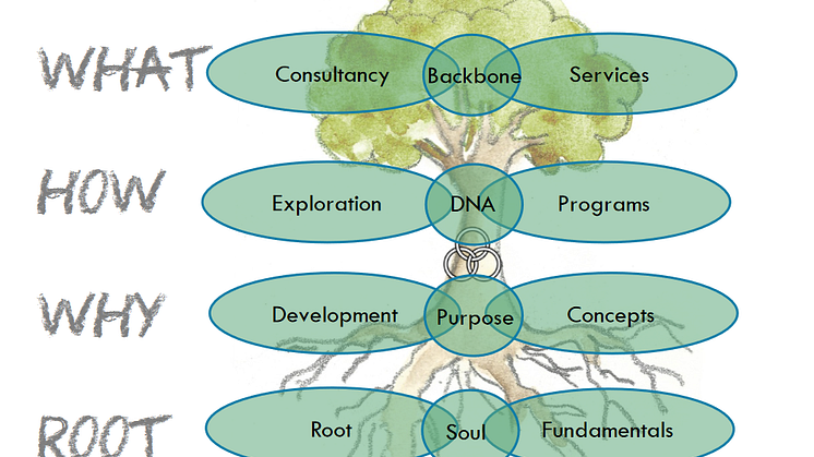 Emprogage Cells and Designs