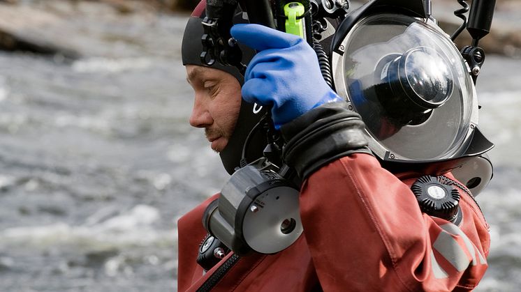 Amphibia – att leva på hoppet. Pressbild 5