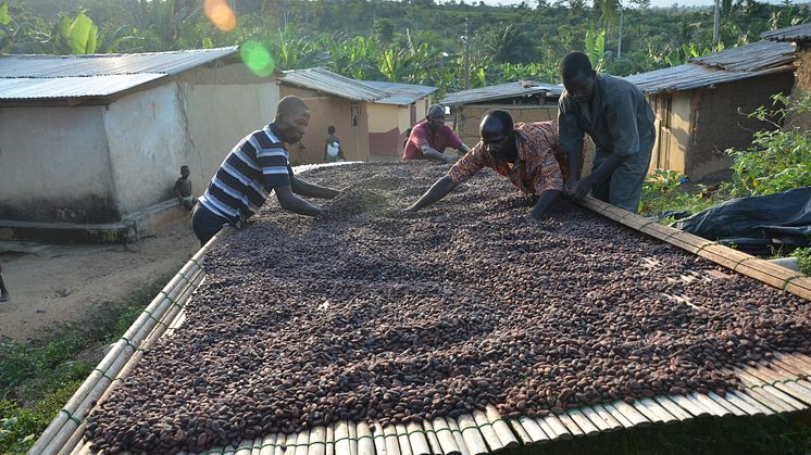 Mondelēz International offentliggör sin första “Well-being Progress Report”