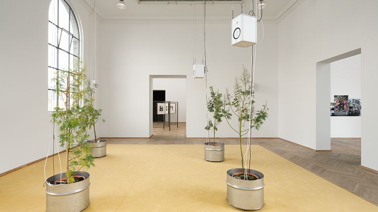 Mohamed Bourouissa_Charlottenborg_019_Photo by David Stjernholm