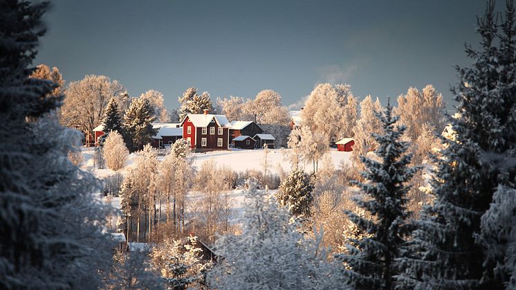 Snart är det nytt år - 8 tips till företagare