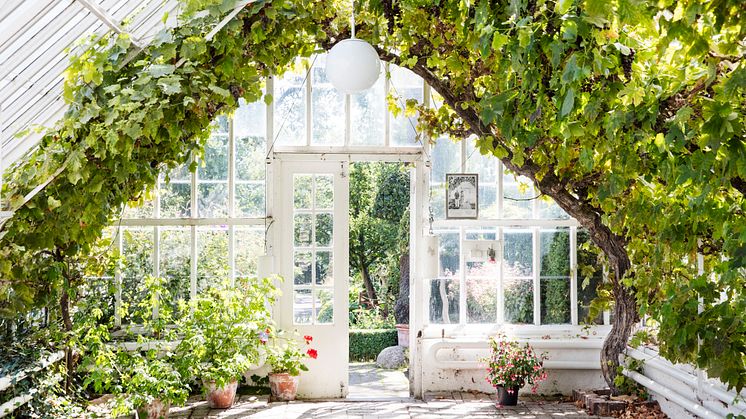 Vinhuset