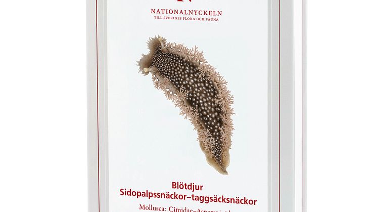 omslag_klot_blötdjur_sidopalpsnäckor_taggsäckssnäckor. Nationalnyckeln.
