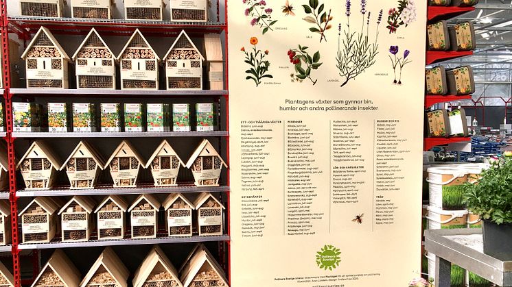Pollinera Sverige hos Plantagen