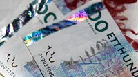 Tre veckor kvar att sätta in gamla sedlar – 4 miljarder kronor saknas