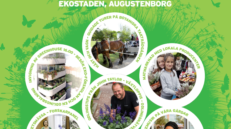 Affisch Ekostadens dag och invigningen av Greenhouse