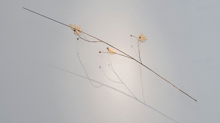 Charlotta Östlund Arrow, 2018