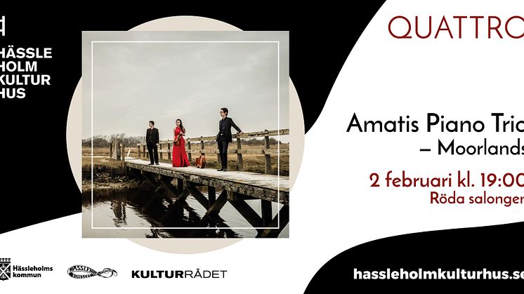amatispianotrio_fb
