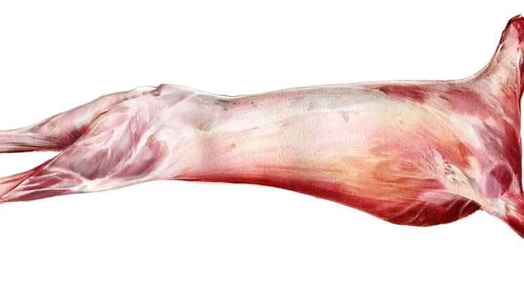 Svenskt kött styckar lamm på Årets Kock