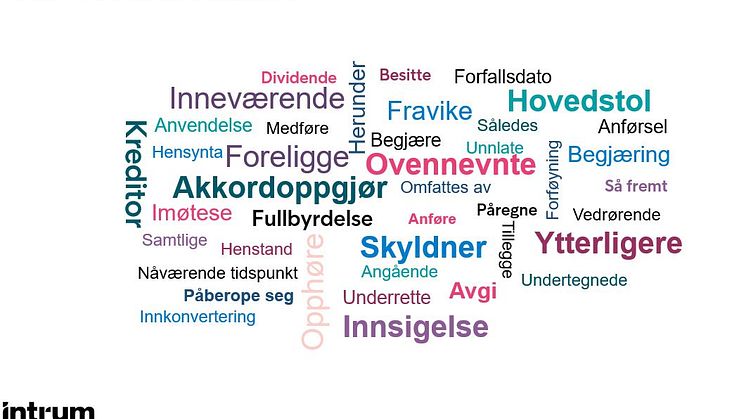 Ordsky av ord vi vil bruke mindre_Intrum