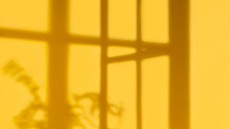 Nordiskt ljus, foto Karolina Kristensson, Nordiska museet
