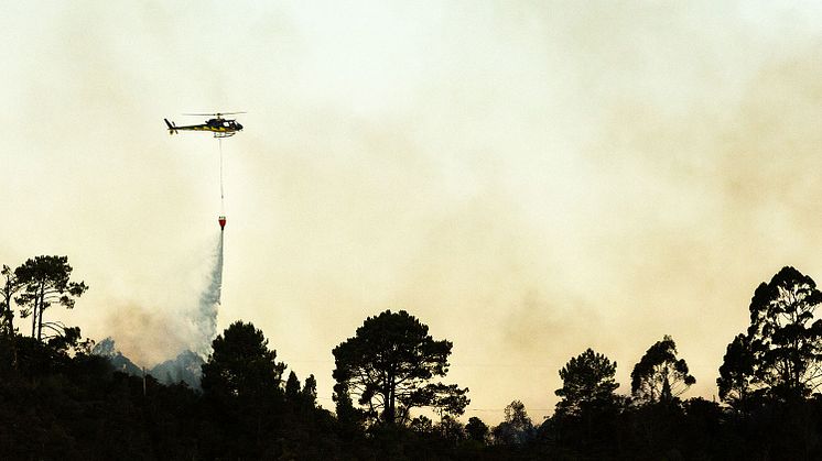 Lyssna på Riskpodden om skogsbränder