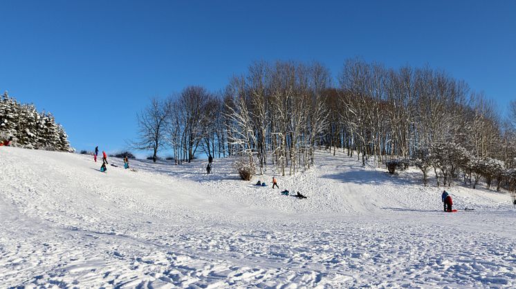 Pulka i discgolfparken