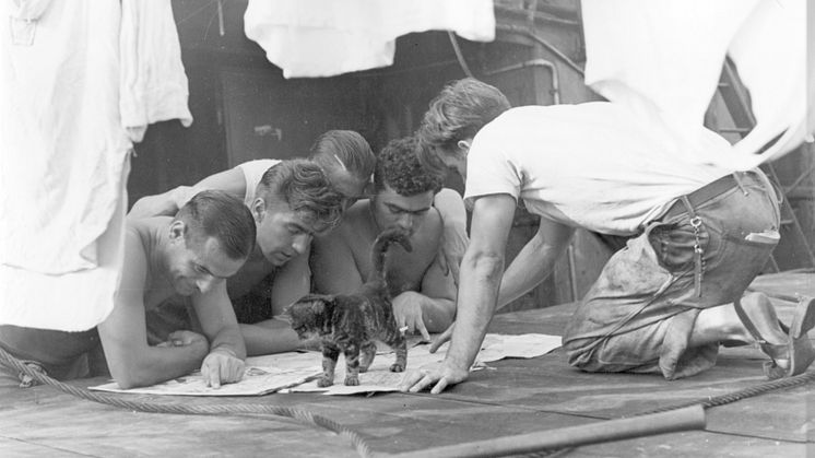 Mandskab og kat ombord S/S AVANCE 1944