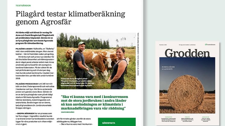 David Brogård i Grodden