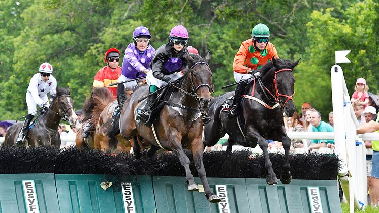 PRESSINBJUDAN TILL SVENSKT GRAND NATIONAL PÅ STRÖMSHOLMS 16 JUNI 