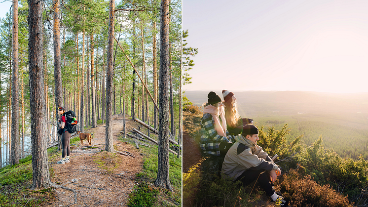 Vandring i Umeåregionen, Foto: Amanda Sveed / Visit Umeå