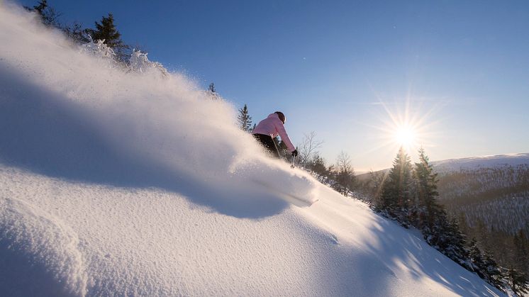 Skistar Sälen