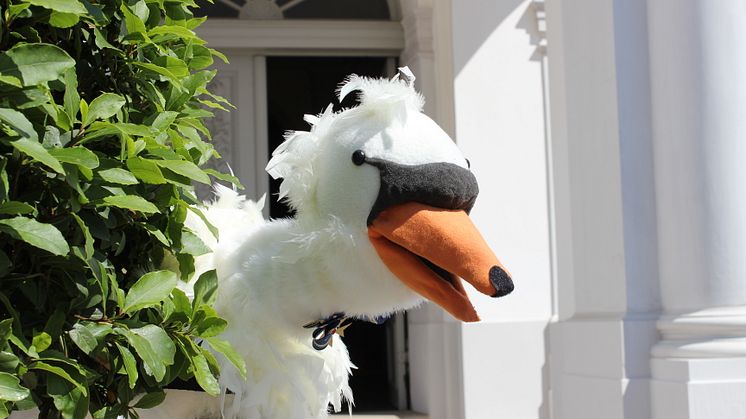 Die Handpuppe Schwan Heinrich zeigt Kindern ab 6 Jahren und ihren Eltern ihre Lieblingsplätze und die schönsten Schätze im Schloss Oranienburg. Foto: TKO gGmbH.
