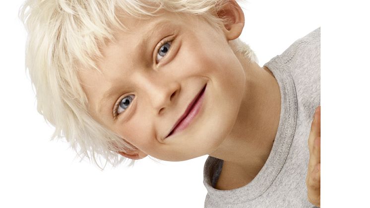 Nordsjös miljøhensyn