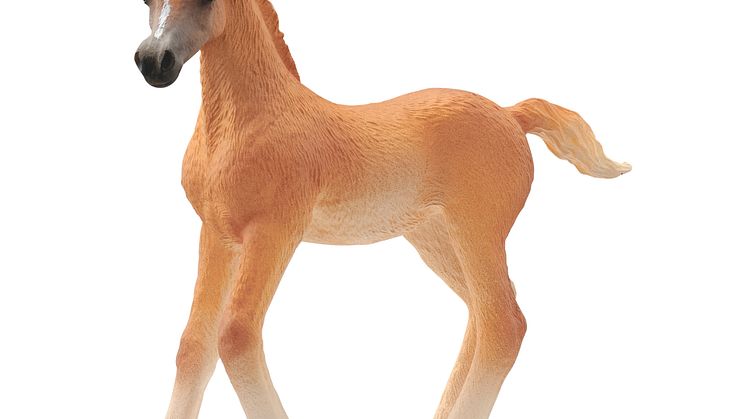 13984_Horse Club_Araber Fohlen (c)Schleich