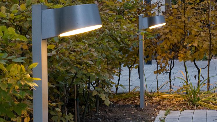 Fox 190 nu med LED bild 3