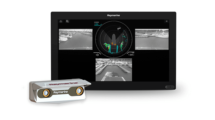 Raymarine DockSense Alert Group