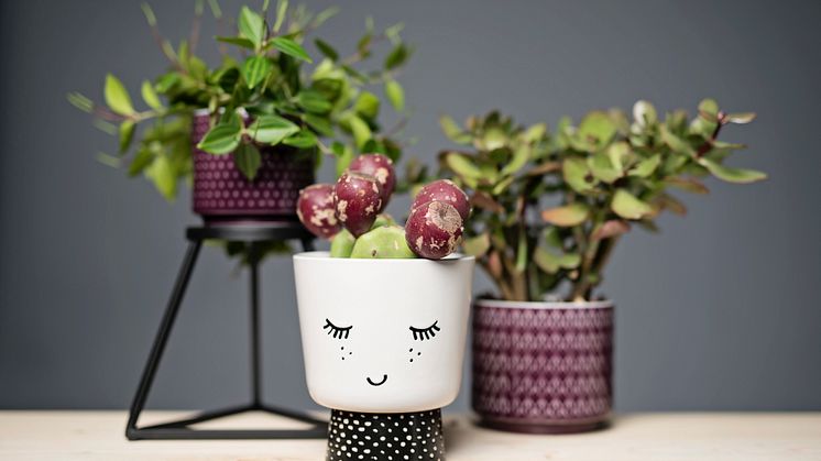 AW2015