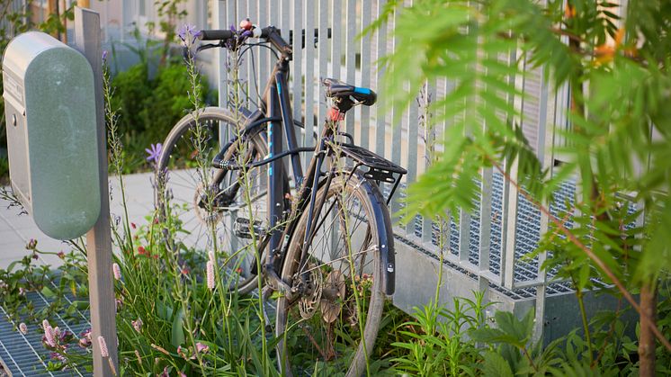 Plats för cykel och grönska, Det Goda Vattnet, Lund