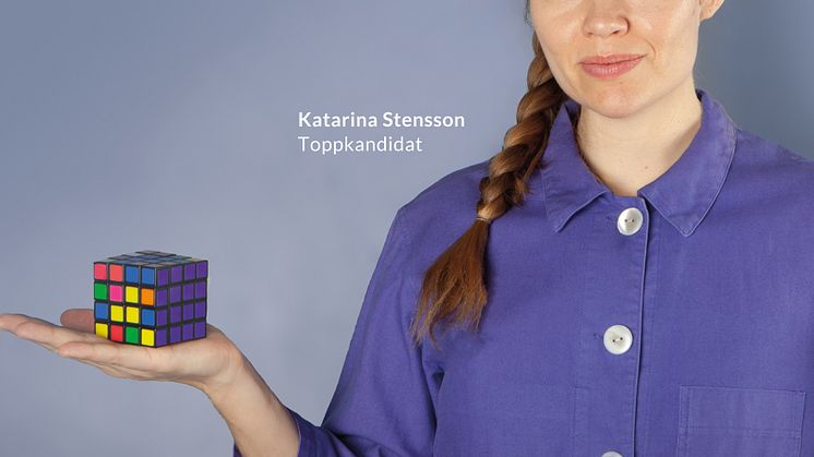 Piratpartiet, EU-val 2024