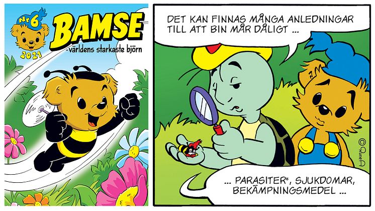Bamse bjuder Sveriges bin på blomstermiddag
