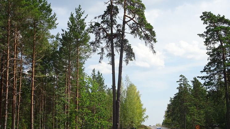 Trolltallen3.jpg
