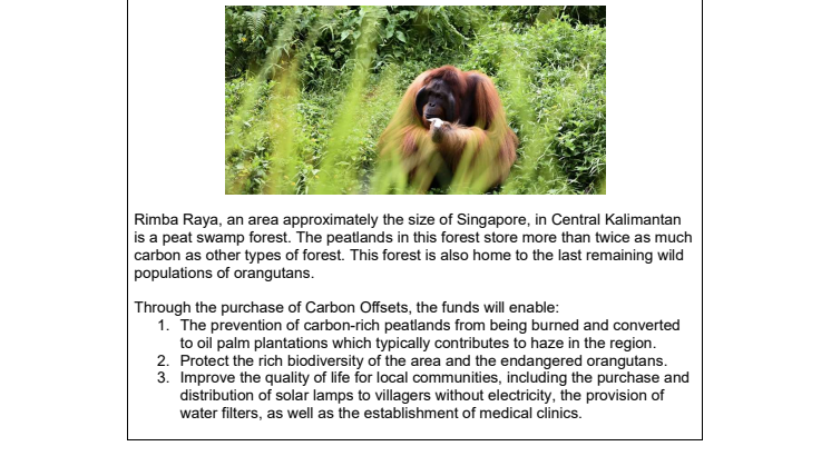 Annex - Changi Carbon Offset.pdf