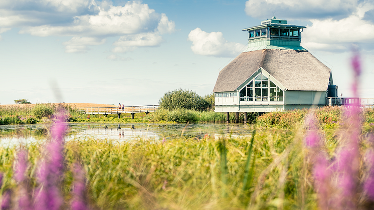 Hornborgasjön, Västergötland Fotograf: Lukasz Warzecha