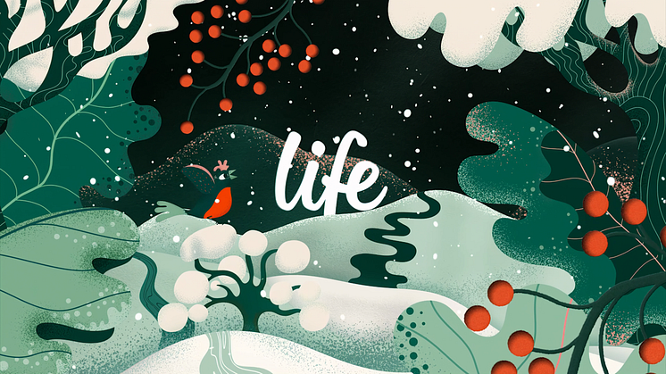 Life_SP2_Winter_16x9_Still_03.png