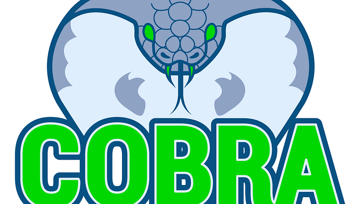 Logo Cobra