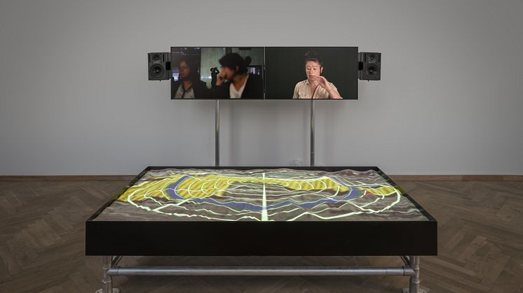 Hito Steyerl, Duty Free Art (2015).