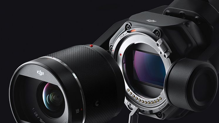 Close Up of lens, DL mount and gimbal vertical version